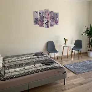 Világos, Kellemes Lakás, Jó Közlekedéssel Apartman